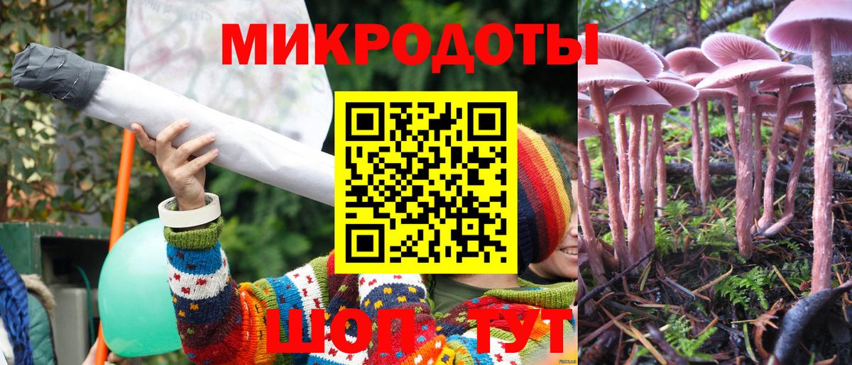 Кудрово  Галлюциногенные грибы Psilocybine cubensis  Вход с VPN 